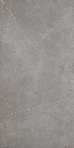 Northon P.E Pul Rect Light Grey 59x119 - фото 1