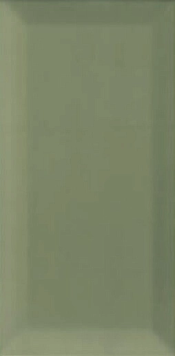 Plus Bissel Green Olive 10x20 - фото 1