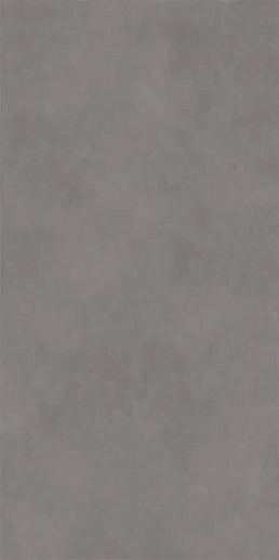Concept Grey 60x120 - фото 1