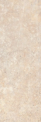 Freedom Beige Rekt. 25x75 - фото 1