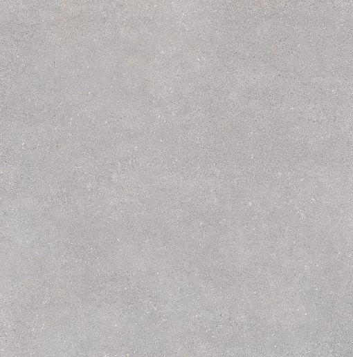 Nassau Gris R xTRA 60x60 - фото 1