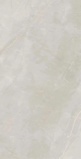 Marble Royalish Grey 6.5 mm POLI 60x120 - фото 1