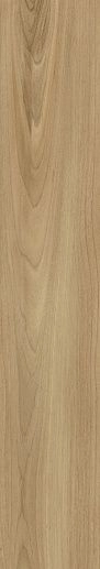 Botanica Dreamwood Rett 20x120 - фото 1