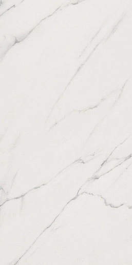 Sensi Statuario White Sable+Rett. 60x120 - фото 1