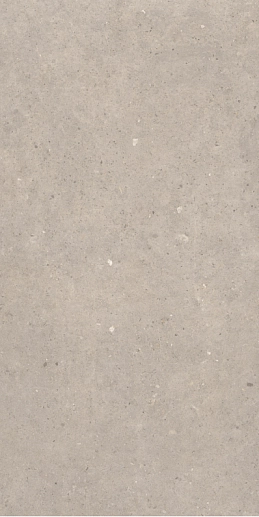 Cement Stone Greige MATE 60x120 - фото 1
