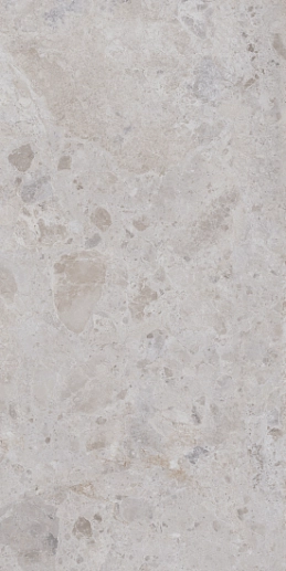 Petra Grey Matt Rect 60x120 - фото 1