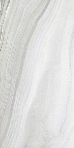Amazon Ash 60x120 - фото 1