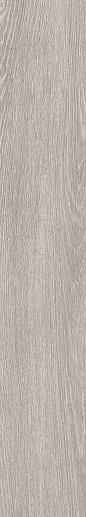 Tr3nd Wood Grey 20 x 120 - фото 1