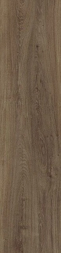 Forest Cognac 22x90 - фото 1
