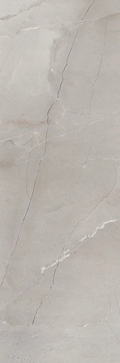Passion R90 Grey 30x90 - фото 1