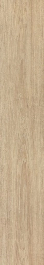 Tanzania Almond 25x150 - фото 1