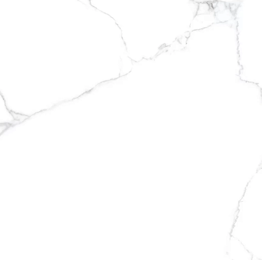 Atlantic White Белый i Mat 60x60 - фото 1