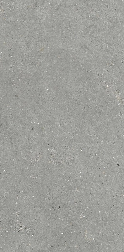 Mitica Gris 60x120 - фото 1