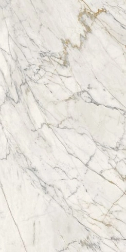 Maiora Marble Effect Calacatta Oro Glossy Rett 120x240 - фото 1