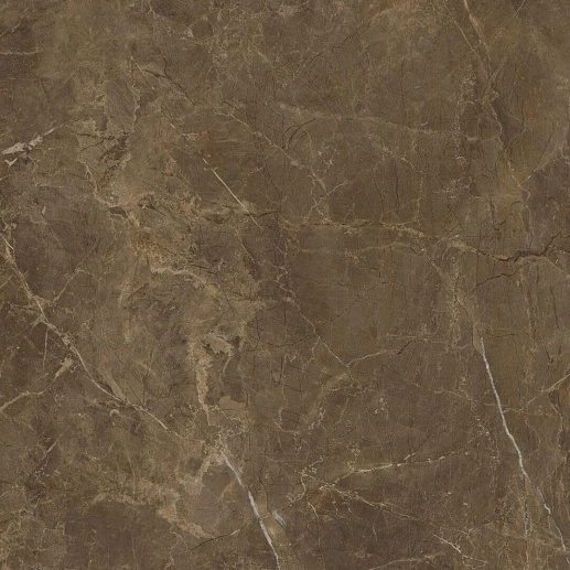 Rapid Brown 60x60 - фото 1
