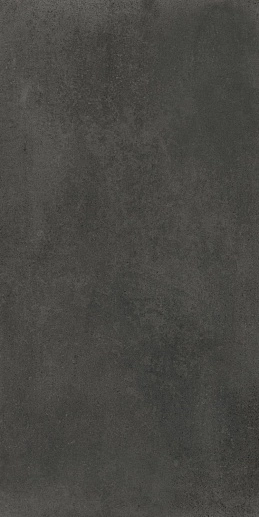 Evo Coal 60x120 - фото 1