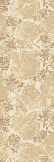Charme Cappuccino Mod.Rose.Dark 25x75 - фото 1