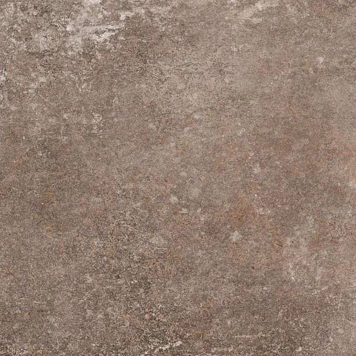 Des Alpes Naturale 47.8x47.8 Rett - фото 1