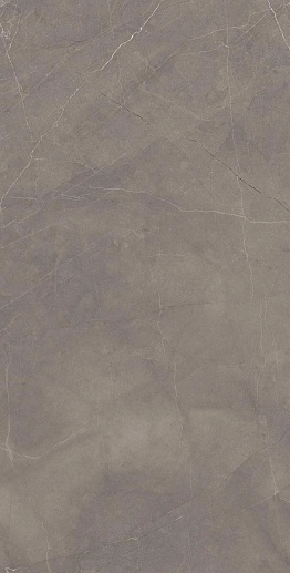 Splash Grey Cерый Сатинированный Карвинг 60x120 - фото 1