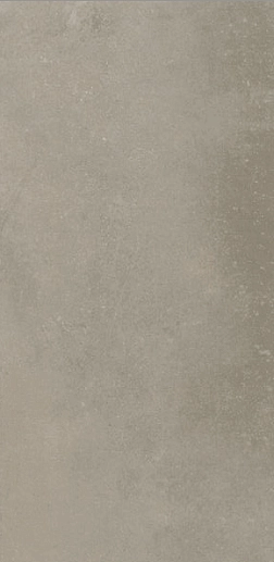 Evoque Taupe 29.9x60 - фото 1