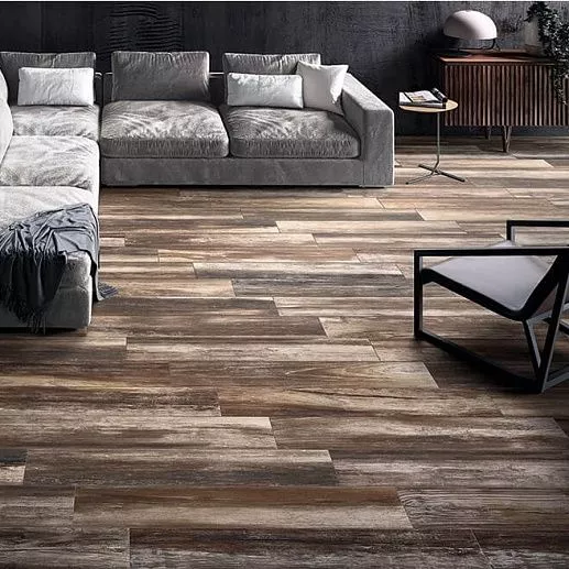 Cerdomus Shine 1