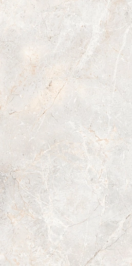 Augustus Pearl Natural rect 60x120 - фото 1