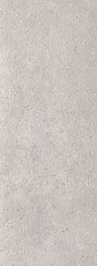 Integrally Grey Str 32.8x89.8 - фото 1