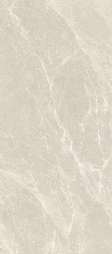 Van Gogh Grey Matt 120x270 - фото 1