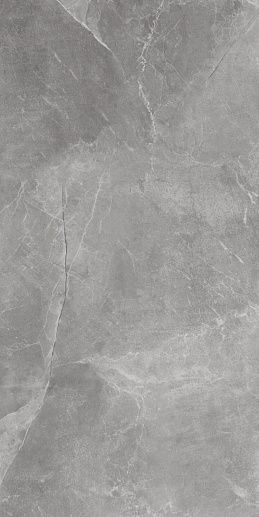 Maxie/Stonemood Silver Rect 59.7x119.7 - фото 1