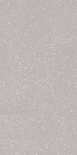 Moondust Silver Gres 59.8x119.8 - фото 1