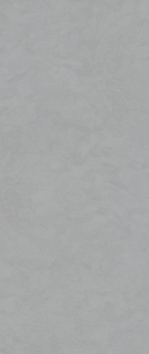Coating Concept Smoke Matt 120x280 - фото 1
