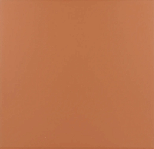 Rivoli Terre 20x20 - фото 1