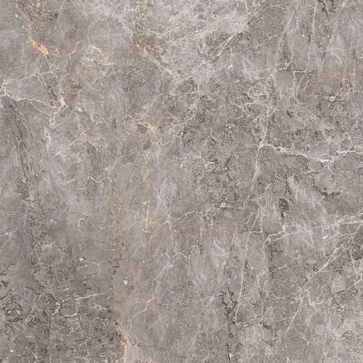 Elegant Grey Polished 59.6x59.6 - фото 1