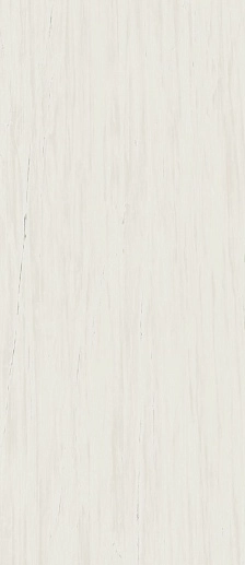 Marvel Stone Bianco Dolomite 120x278 Lappato - фото 1