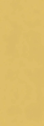Cloud Gold 35x100 - фото 1