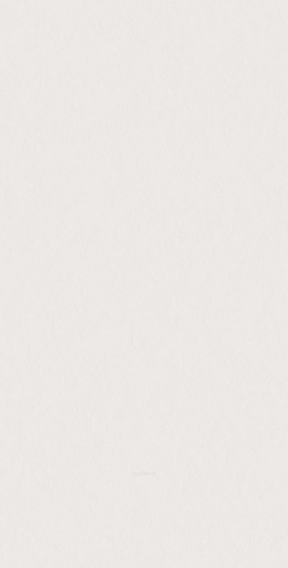 Superclassica SCW Flamed 60x120 - фото 1