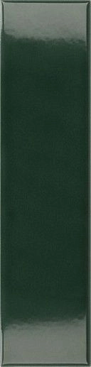 Costa Nova Laurel Green Glossy 5x20 - фото 1
