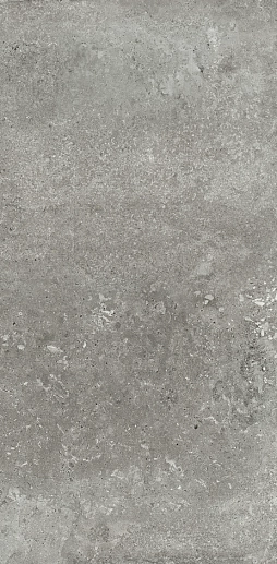 Montpellier Ash 60x120 - фото 1