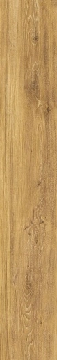 Verbier Honey 24x151 - фото 1