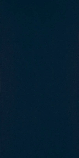 Porcelano Blue Sciana 30x60 - фото 1