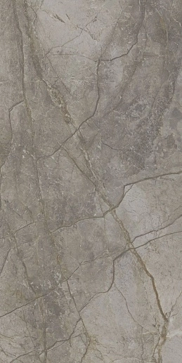 Silver River Dark Polished 60x120 - фото 1
