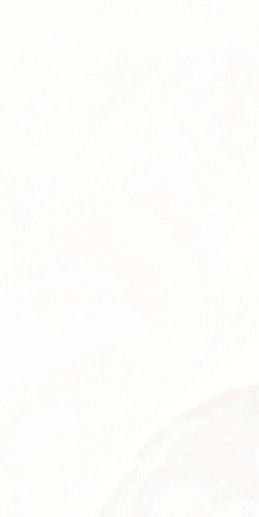 Eco Onyx White 5.5 mm POLI 60x120 - фото 1