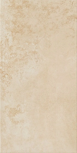 Neutral Brown 29.8x59.8 - фото 1