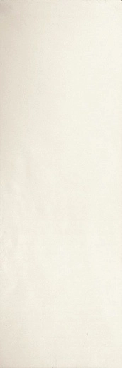 Trent 9532 White Ret. 30x90 - фото 1