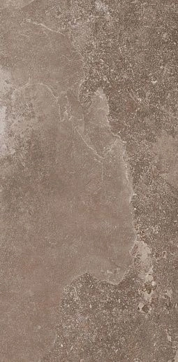 Des Alpes Naturale 47.8x97 Rett - фото 1