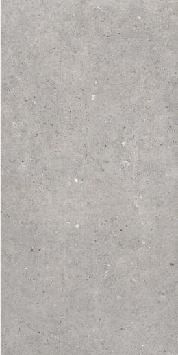 Cement Stone Grey MATE 60x120 - фото 1