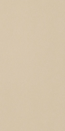 Icon Almond 12L 60x120 - фото 1