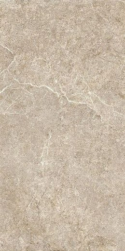 HolyStone Beige 61x122.2 - фото 1