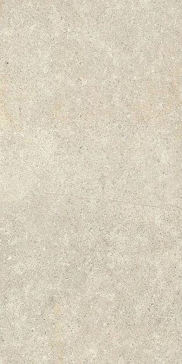 Background Snowy 60x120 - фото 1