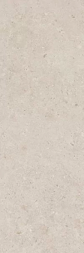 14054R Риккарди бежевый матовый обрезной 40x120 - фото 1
